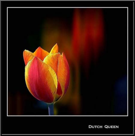 L�amiti� est un Jardin